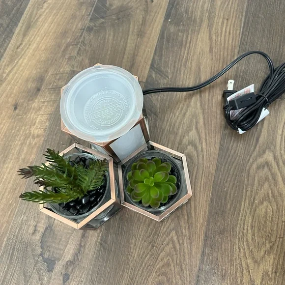 Wild Desert Scentsy Warmer - Picture 7 of 7